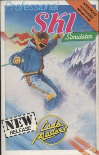 Professional Ski Simulator